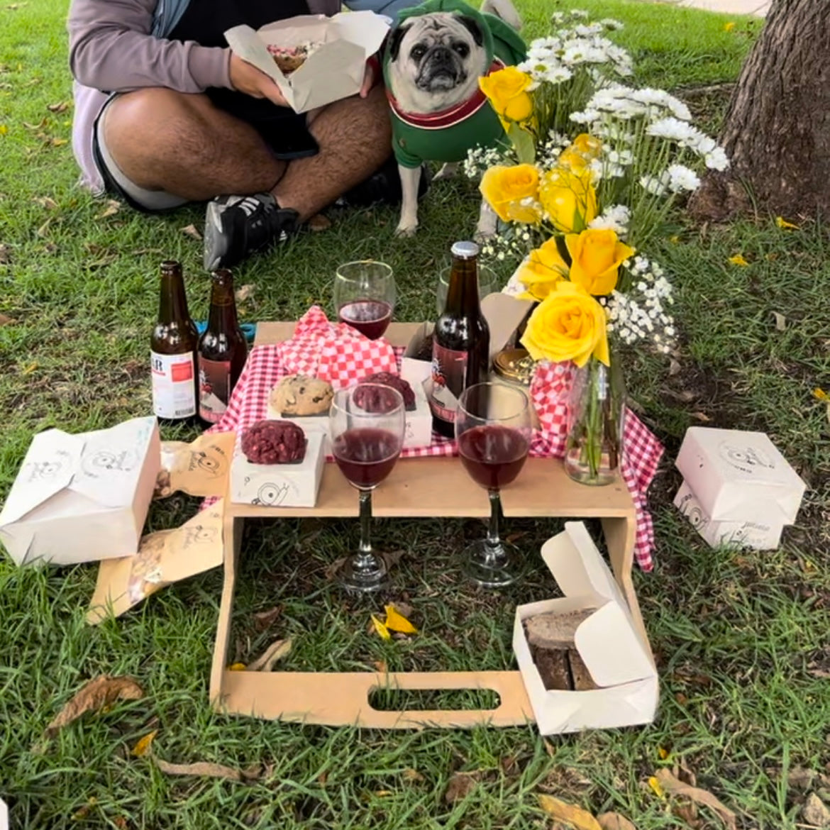 Ecobase Picnic 2 en 1